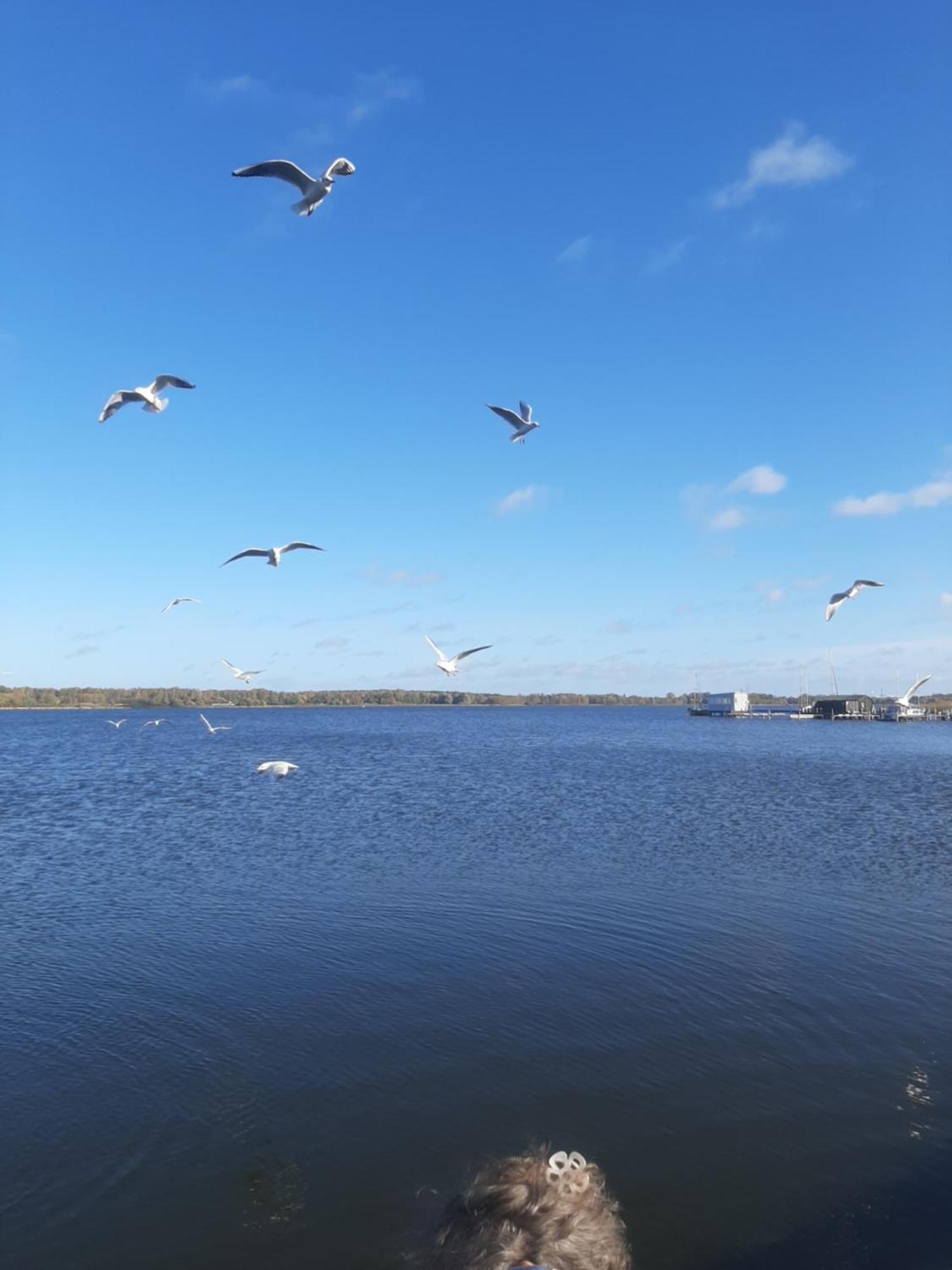Hotel Perle Am Bodden リーブニッツ・ダムガルテン エクステリア 写真