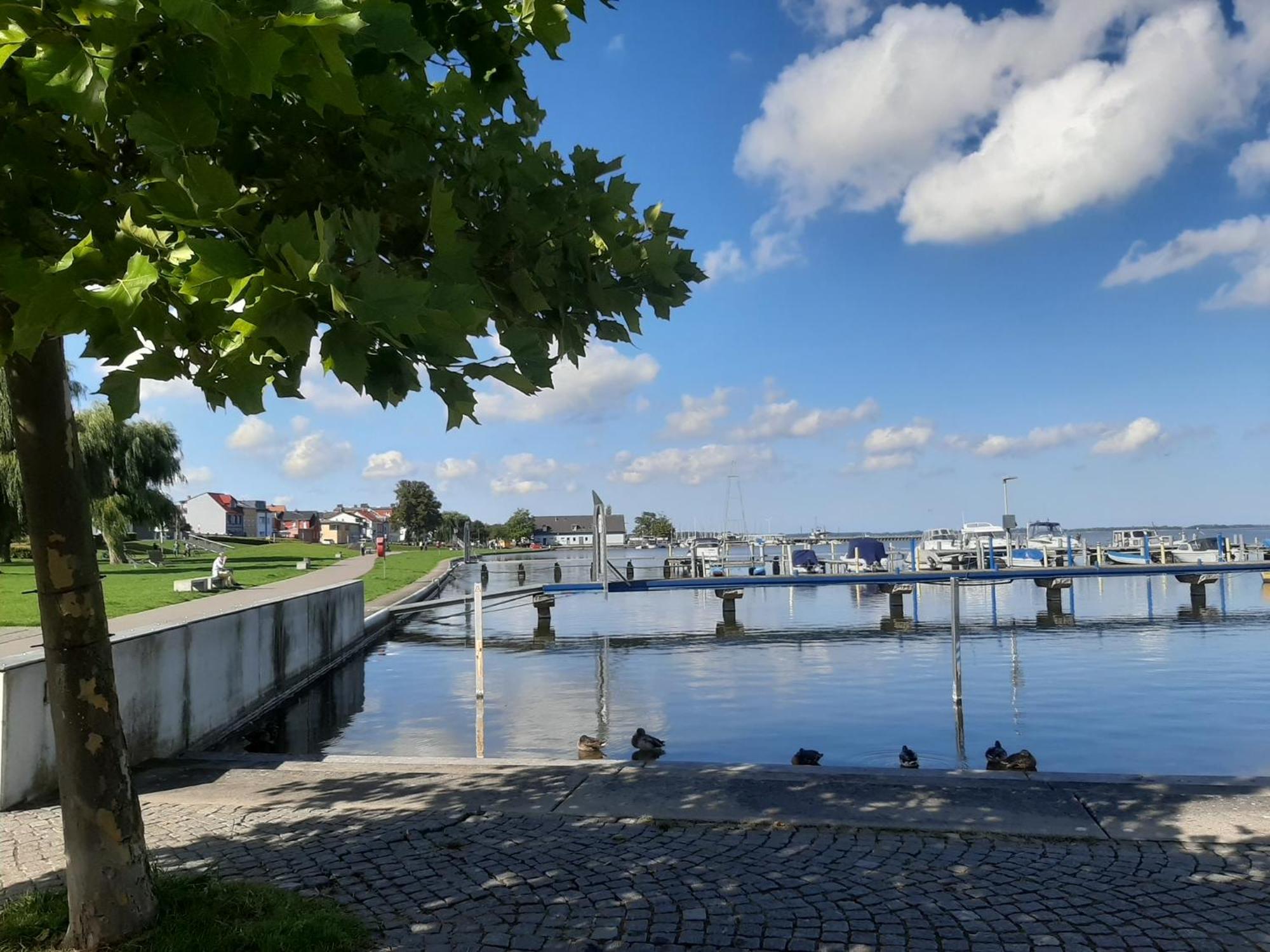 Hotel Perle Am Bodden リーブニッツ・ダムガルテン エクステリア 写真